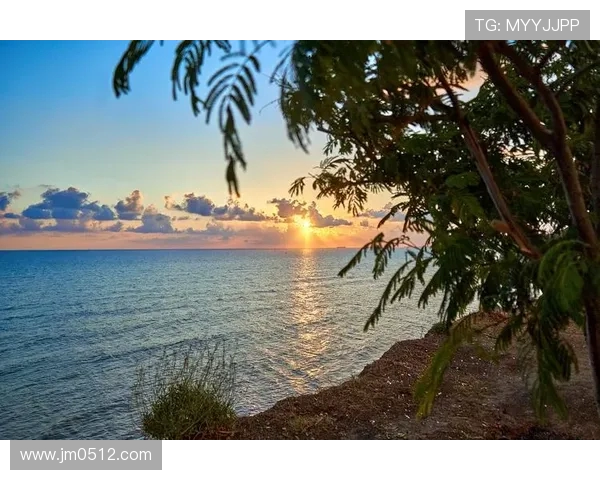 布莱克尼的神秘魅力与独特风景探秘之旅